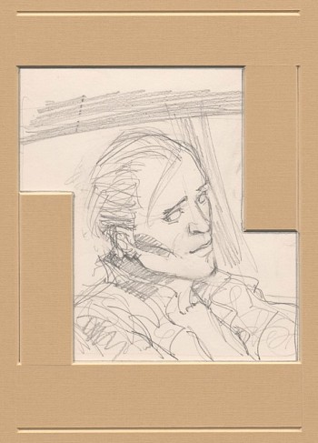 Originele tekening: Stuifmeel 