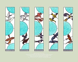 Birds around the house