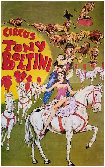 Circus Tony Boltini