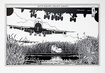 Witte zwanen, zwarte zwanen