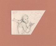 Originele tekening: Stuifmeel (pagina 13)